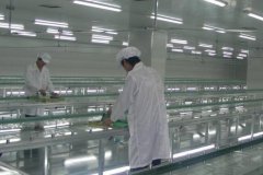 食品凈化車間建材的選取與要求